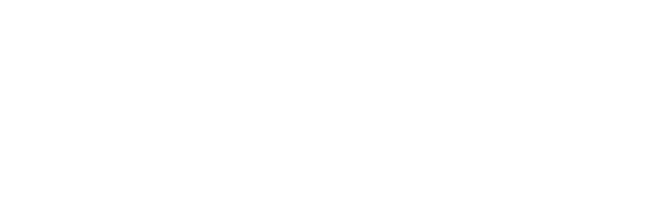 Nieuw logo BVKZ wit png